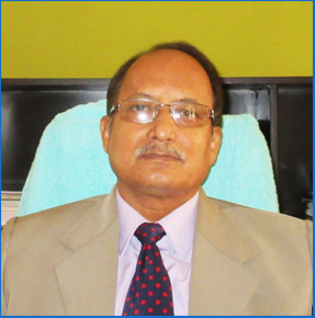 Shri. H.N. Bora, (IAS) Chief Electoral Officer, Assam